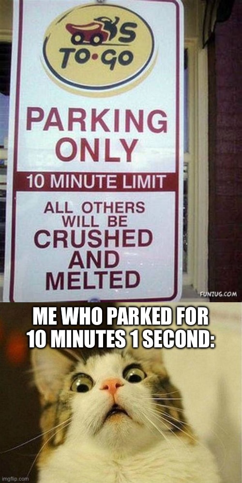 ME WHO PARKED FOR 10 MINUTES 1 SECOND: | image tagged in memes,scared cat | made w/ Imgflip meme maker