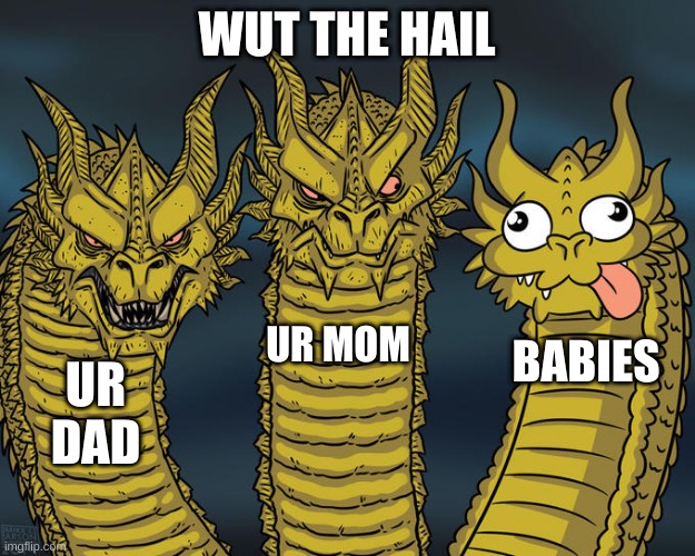 dumb babies | WUT THE HAIL; UR MOM; BABIES; UR DAD | image tagged in three-headed dragon | made w/ Imgflip meme maker