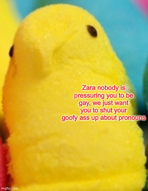 Majik Peeps | Zara nobody is pressuring you to be gay, we just want you to shut your goofy ass up about pronouns | image tagged in majik peeps | made w/ Imgflip meme maker