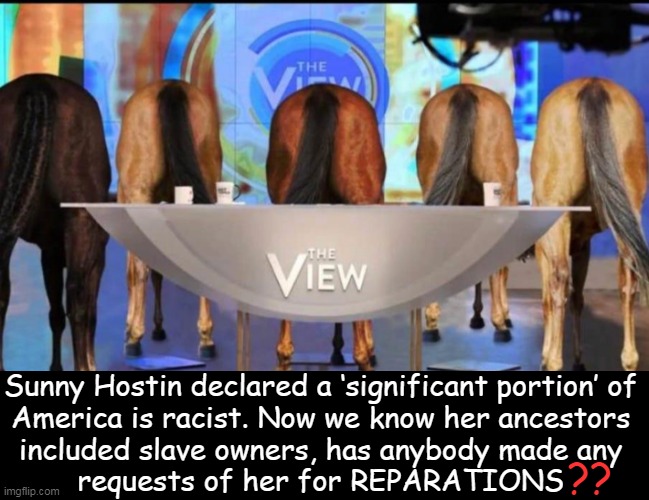 Isn't It Ironic???? | Sunny Hostin declared a ‘significant portion’ of 

America is racist. Now we know her ancestors 

included slave owners, has anybody made any 

requests of her for REPARATIONS; ?? | image tagged in political humor,irony,liberal hypocrisy,racism,victim,reparations | made w/ Imgflip meme maker