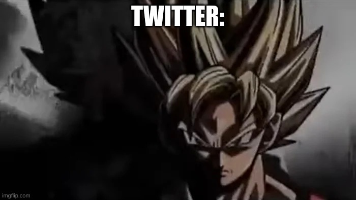 Goku Staring | TWITTER: | image tagged in goku staring | made w/ Imgflip meme maker
