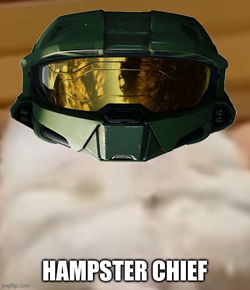 Hampster. | HAMPSTER CHIEF | image tagged in hampster | made w/ Imgflip meme maker