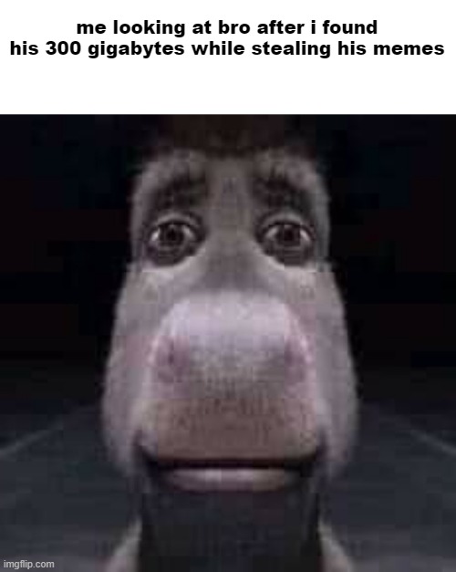 Donkey staring | me looking at bro after i found his 300 gigabytes while stealing his memes | image tagged in donkey staring | made w/ Imgflip meme maker