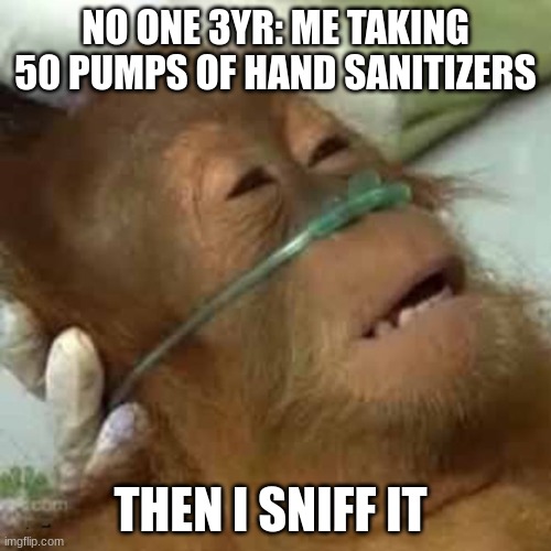 this is nostalgia | NO ONE 3YR: ME TAKING 50 PUMPS OF HAND SANITIZERS; THEN I SNIFF IT | image tagged in dying orangutan,school | made w/ Imgflip meme maker