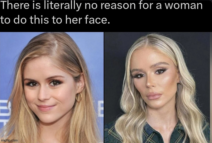 Bitch went from a 7 to a 2 | made w/ Imgflip meme maker