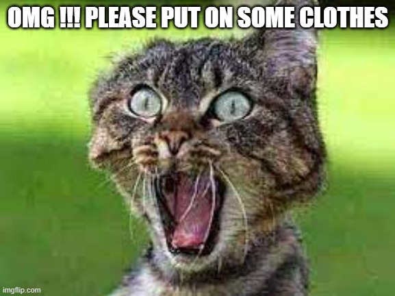 meme by Brad cat see naked human | OMG !!! PLEASE PUT ON SOME CLOTHES | image tagged in cats,cat meme,funny cat memes,humor,funny | made w/ Imgflip meme maker