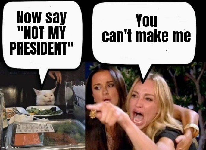 Now say "NOT MY PRESIDENT" You can't make me | made w/ Imgflip meme maker
