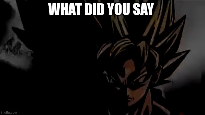 when a white person says the n word | WHAT DID YOU SAY | image tagged in goku staring | made w/ Imgflip meme maker