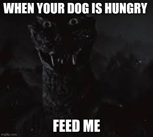 Scary part 1 | WHEN YOUR DOG IS HUNGRY; FEED ME | image tagged in godzilla,scary | made w/ Imgflip meme maker