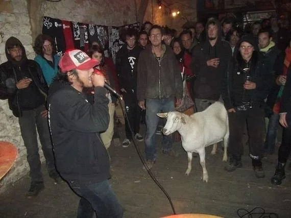 Goat concert Blank Meme Template