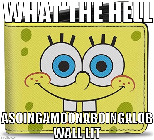 WHAT THE HELL ASOINGAMOONABOINGALOB WALL LIT | image tagged in what the hell asoingamoonaboingalob wall lit,spongebob | made w/ Imgflip meme maker