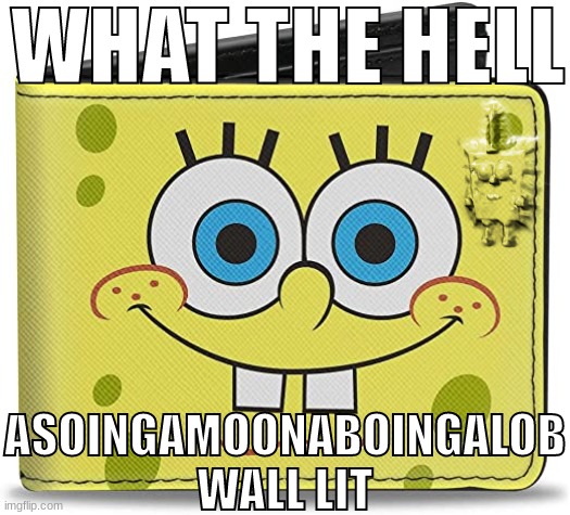 WHAT THE HELL ASOINGAMOONABOINGALOB WALL LIT | image tagged in what the hell asoingamoonaboingalob wall lit | made w/ Imgflip meme maker