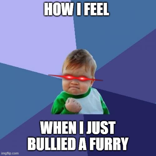 Success Kid Meme | HOW I FEEL WHEN I JUST BULLIED A FURRY | image tagged in memes,success kid | made w/ Imgflip meme maker
