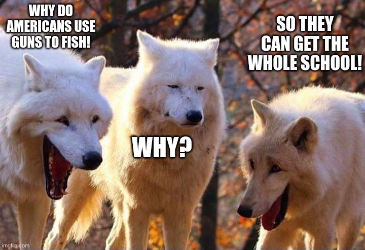 funny | WHY DO AMERICANS USE GUNS TO FISH! SO THEY CAN GET THE WHOLE SCHOOL! WHY? | image tagged in laughing wolf | made w/ Imgflip meme maker