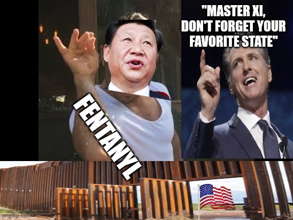 Fentanyl Crisis | "MASTER XI, DON'T FORGET YOUR FAVORITE STATE"; FENTANYL | image tagged in salt guy,open borders | made w/ Imgflip meme maker