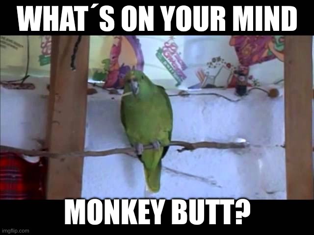 This is my favorite saying lol | WHAT´S ON YOUR MIND; MONKEY BUTT? | image tagged in home alone 3,lol | made w/ Imgflip meme maker