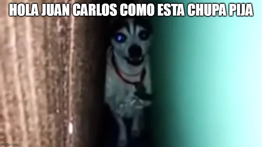 Hola Juan Carlos | HOLA JUAN CARLOS COMO ESTA CHUPA PIJA | image tagged in hola juan carlos | made w/ Imgflip meme maker