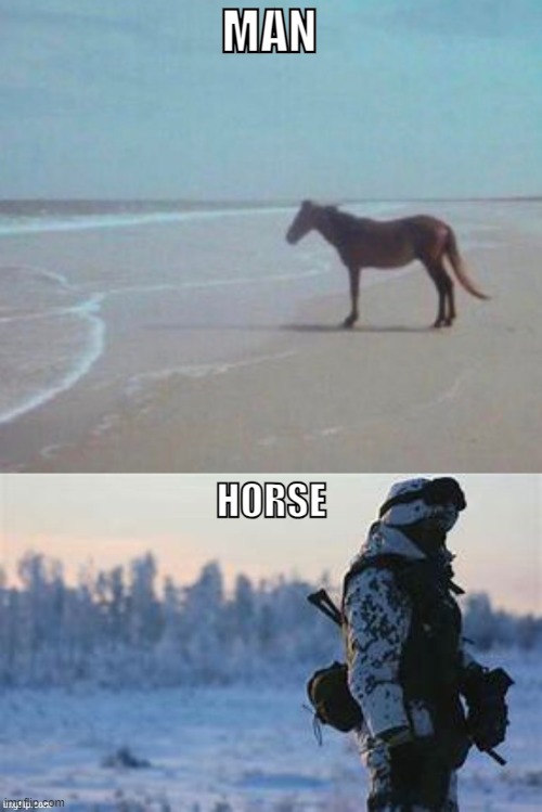 MAN | image tagged in man horse water | made w/ Imgflip meme maker