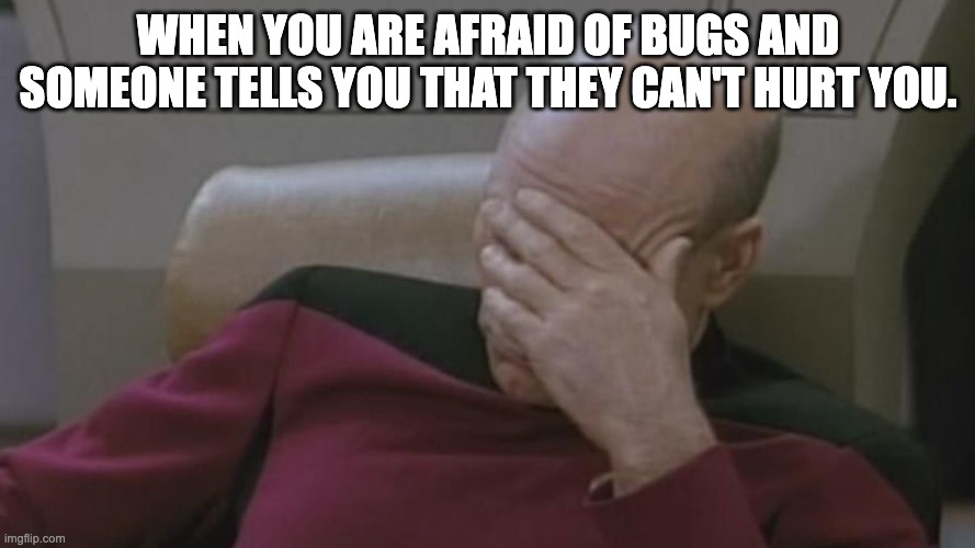 bugs | WHEN YOU ARE AFRAID OF BUGS AND SOMEONE TELLS YOU THAT THEY CAN'T HURT YOU. | image tagged in bugs | made w/ Imgflip meme maker
