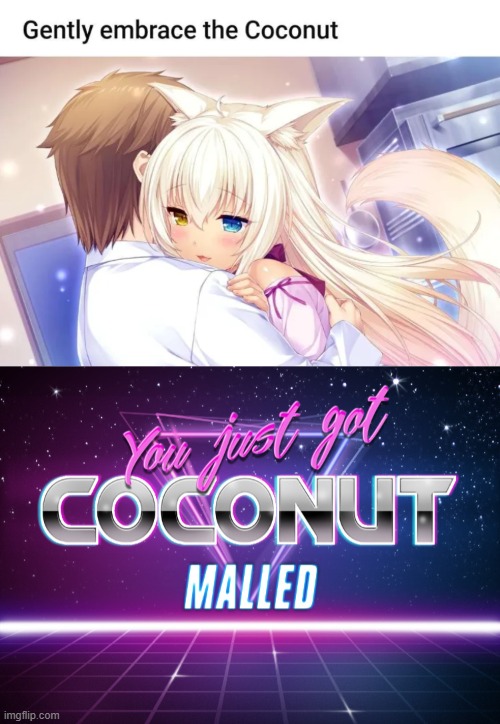 image tagged in you just got coconut malled | made w/ Imgflip meme maker