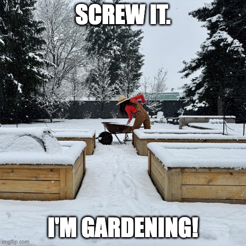 Screw it, I'm gardening | SCREW IT. I'M GARDENING! | image tagged in screw it i'm gardening | made w/ Imgflip meme maker