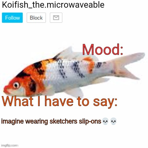 Koifish_the.microwaveable announcement | imagine wearing sketchers slip-ons💀💀 | image tagged in koifish_the microwaveable announcement | made w/ Imgflip meme maker