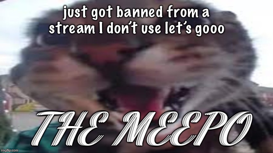 the meepo | just got banned from a stream I don’t use let’s gooo | image tagged in the meepo | made w/ Imgflip meme maker