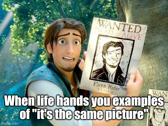 Flynn Rider Wanted Poster | When life hands you examples of "it's the same picture" | image tagged in flynn rider wanted poster | made w/ Imgflip meme maker