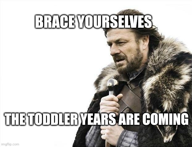 The toddler years are coming | BRACE YOURSELVES; THE TODDLER YEARS ARE COMING | image tagged in memes,brace yourselves x is coming | made w/ Imgflip meme maker