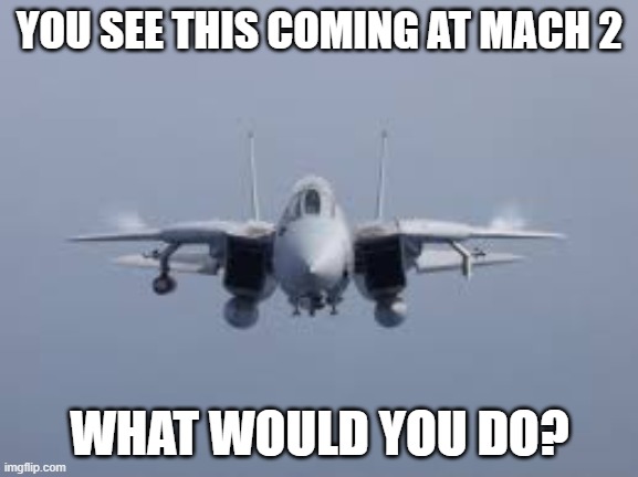 What would you do? | YOU SEE THIS COMING AT MACH 2; WHAT WOULD YOU DO? | image tagged in f-14 | made w/ Imgflip meme maker