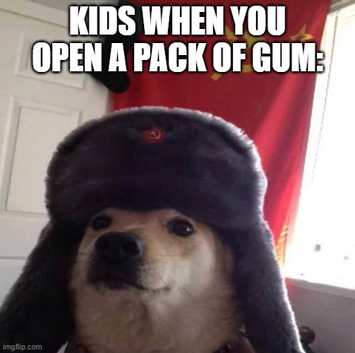 Russian Doge | KIDS WHEN YOU OPEN A PACK OF GUM: | image tagged in russian doge | made w/ Imgflip meme maker