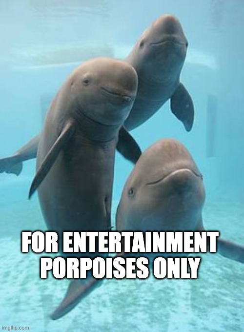 For Entertainment Porpoises Only | FOR ENTERTAINMENT PORPOISES ONLY | image tagged in porpoise,dolphin,entertainment,for entertainment purposes only | made w/ Imgflip meme maker