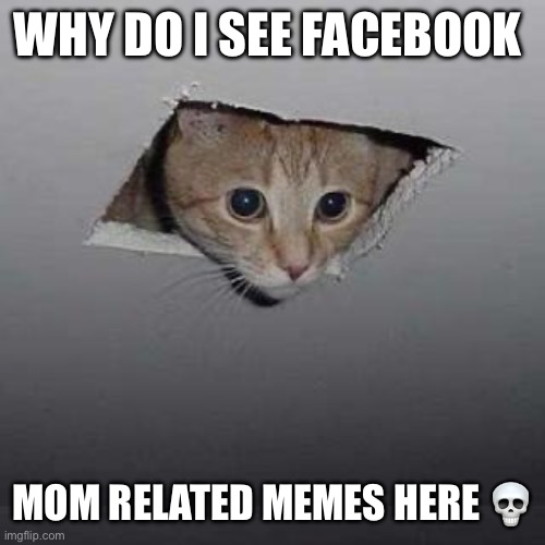 Ceiling Cat | WHY DO I SEE FACEBOOK; MOM RELATED MEMES HERE 💀 | image tagged in memes,ceiling cat | made w/ Imgflip meme maker