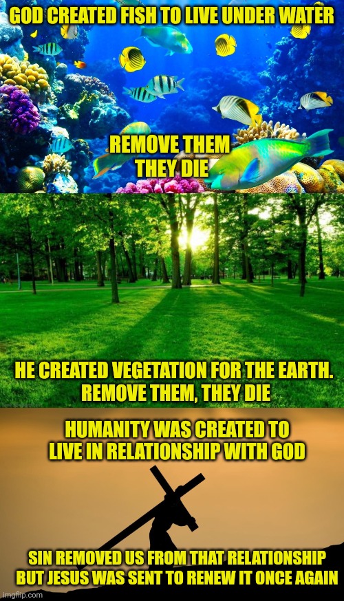GOD CREATED FISH TO LIVE UNDER WATER; REMOVE THEM 
THEY DIE; HE CREATED VEGETATION FOR THE EARTH. 
REMOVE THEM, THEY DIE; HUMANITY WAS CREATED TO LIVE IN RELATIONSHIP WITH GOD; SIN REMOVED US FROM THAT RELATIONSHIP BUT JESUS WAS SENT TO RENEW IT ONCE AGAIN | image tagged in god of wonders,grass and trees,jesus crossfit | made w/ Imgflip meme maker