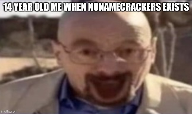 waltuh happy | 14 YEAR OLD ME WHEN NONAMECRACKERS EXISTS | image tagged in waltuh happy | made w/ Imgflip meme maker