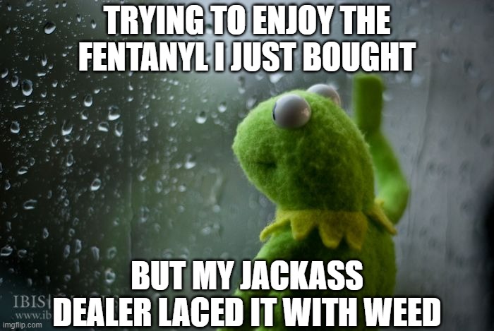 Not Even Fentanyl Is Safe Anymore | TRYING TO ENJOY THE FENTANYL I JUST BOUGHT; BUT MY JACKASS DEALER LACED IT WITH WEED | image tagged in kermit window | made w/ Imgflip meme maker