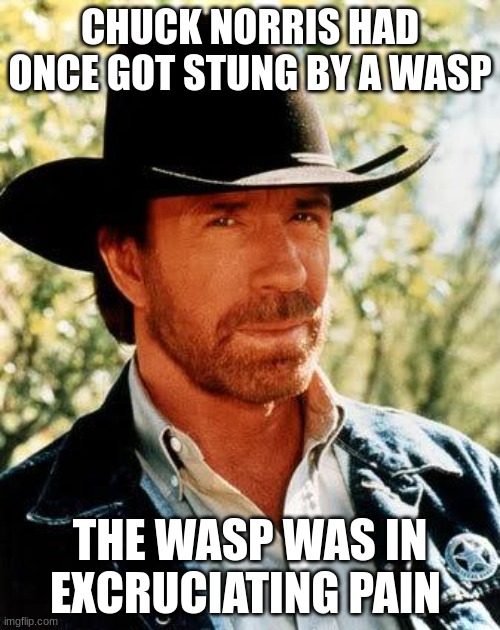 poor wasp.. | CHUCK NORRIS HAD ONCE GOT STUNG BY A WASP; THE WASP WAS IN EXCRUCIATING PAIN | image tagged in memes,chuck norris | made w/ Imgflip meme maker