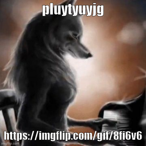 anthro wolf piano | pluytyuyjg; https://imgflip.com/gif/8fi6v6 | image tagged in anthro wolf piano | made w/ Imgflip meme maker