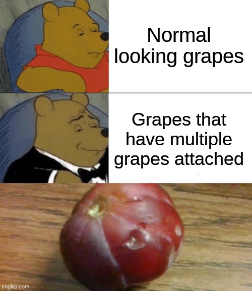 GRAPES!! | Normal looking grapes; Grapes that have multiple grapes attached | image tagged in memes,tuxedo winnie the pooh,grapes | made w/ Imgflip meme maker