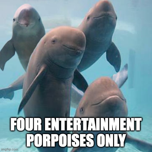 Four Entertainment Porpoises Only | FOUR ENTERTAINMENT PORPOISES ONLY | image tagged in porpoise,dolphin | made w/ Imgflip meme maker