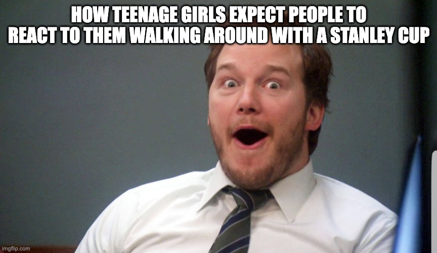 OmG a StAnLeY cUp | HOW TEENAGE GIRLS EXPECT PEOPLE TO REACT TO THEM WALKING AROUND WITH A STANLEY CUP | image tagged in wow face | made w/ Imgflip meme maker