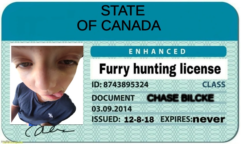 Furrys down syndrome up fr | STATE OF CANADA; CHASE BILCKE | image tagged in furry hunting license | made w/ Imgflip meme maker