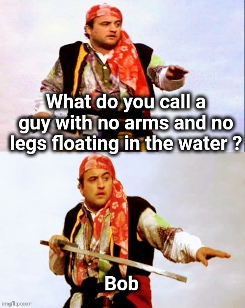 Pirate joke | What do you call a guy with no arms and no legs floating in the water ? Bob | image tagged in pirate joke | made w/ Imgflip meme maker