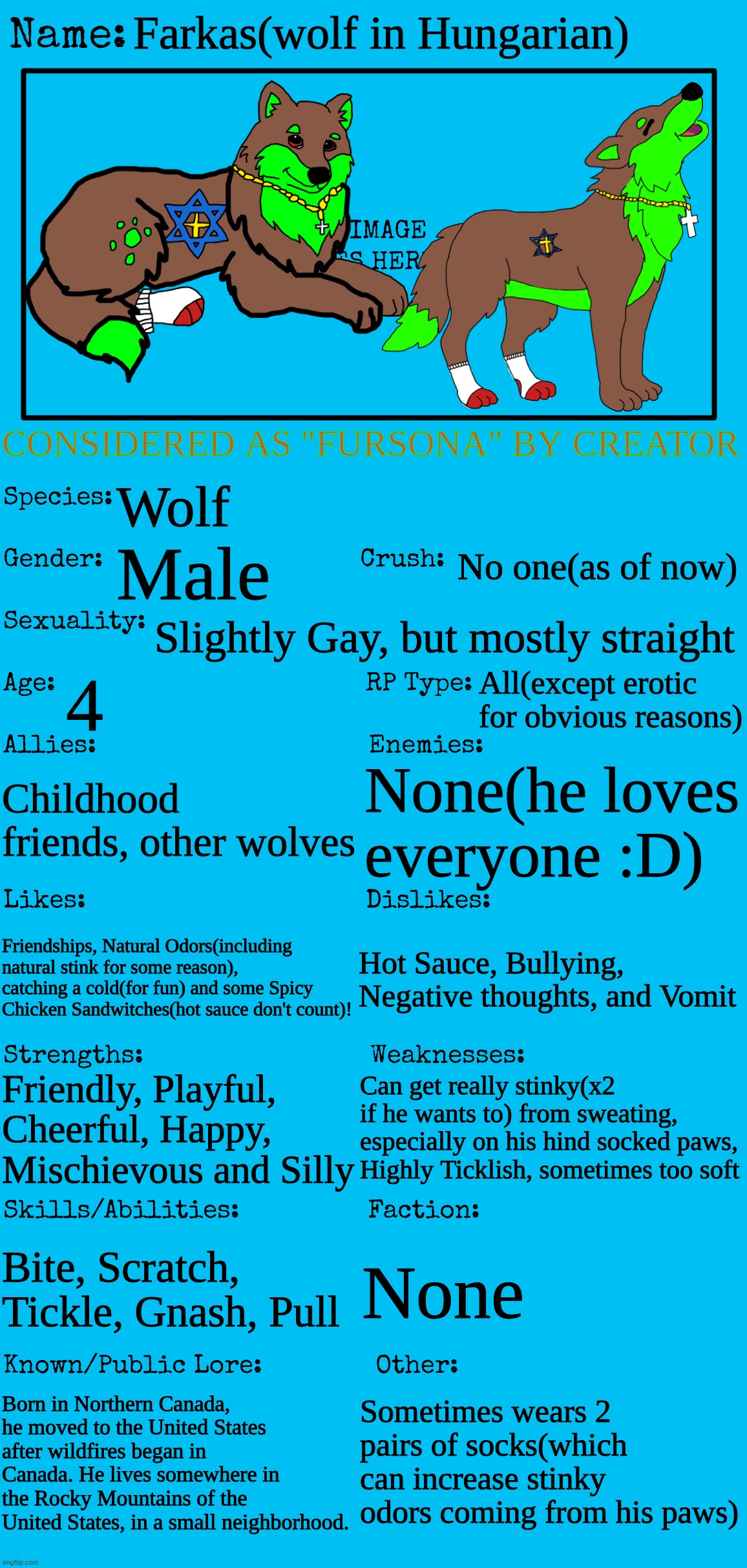 Official Farkas Bio(he's my Fursona :3) | Farkas(wolf in Hungarian); CONSIDERED AS "FURSONA" BY CREATOR; Wolf; No one(as of now); Male; Slightly Gay, but mostly straight; 4; All(except erotic for obvious reasons); Childhood friends, other wolves; None(he loves everyone :D); Friendships, Natural Odors(including natural stink for some reason), catching a cold(for fun) and some Spicy Chicken Sandwitches(hot sauce don't count)! Hot Sauce, Bullying, Negative thoughts, and Vomit; Can get really stinky(x2 if he wants to) from sweating, especially on his hind socked paws, Highly Ticklish, sometimes too soft; Friendly, Playful, Cheerful, Happy, Mischievous and Silly; Bite, Scratch, Tickle, Gnash, Pull; None; Born in Northern Canada, he moved to the United States after wildfires began in Canada. He lives somewhere in the Rocky Mountains of the United States, in a small neighborhood. Sometimes wears 2 pairs of socks(which can increase stinky odors coming from his paws) | made w/ Imgflip meme maker