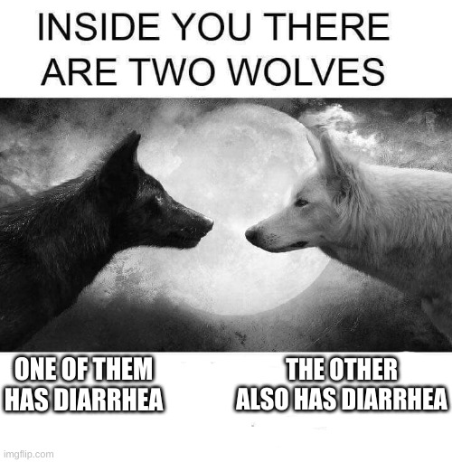 mmm | THE OTHER ALSO HAS DIARRHEA; ONE OF THEM HAS DIARRHEA | image tagged in inside you there are two wolves,diarrhea | made w/ Imgflip meme maker