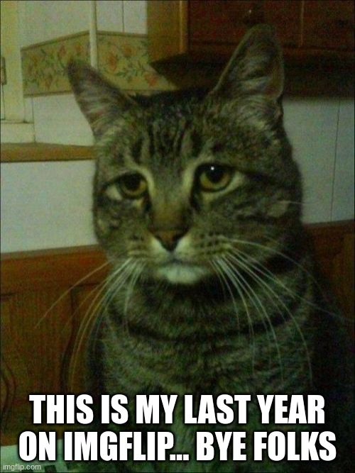 Depressed Cat | THIS IS MY LAST YEAR ON IMGFLIP... BYE FOLKS | image tagged in depressed cat,goodbye | made w/ Imgflip meme maker