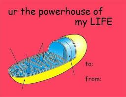 Valentine's Day Card Blank Meme Template