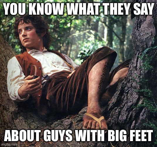 hobbit feet | YOU KNOW WHAT THEY SAY; ABOUT GUYS WITH BIG FEET | image tagged in hobbit feet | made w/ Imgflip meme maker