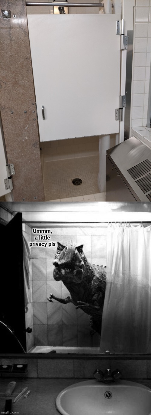 Shower door | Ummm, a little privacy pls | image tagged in a little privacy please,shower,door,you had one job,bathroom,memes | made w/ Imgflip meme maker
