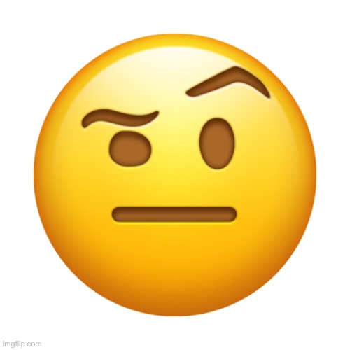Face with One Eyebrow Raised | image tagged in face with one eyebrow raised | made w/ Imgflip meme maker